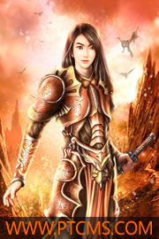 ���ܵ����Ľ�