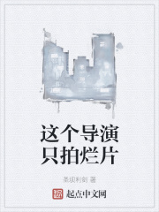 �������ֻ����Ƭ