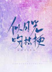 ���¹��ǽ۹�