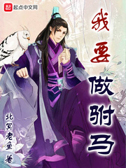 ��Ҫ������