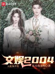 ����2004����ǿ�ʼ