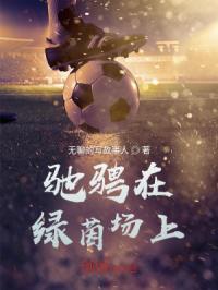 �۳���������