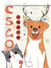 CSGO֮�羺����