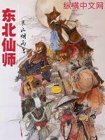 ������ʦ