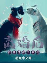 ����ǰ�ξ�����ϵͳ