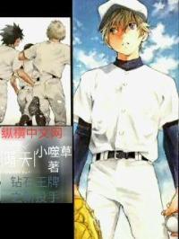 ��ʯ����֮��Ͷ��