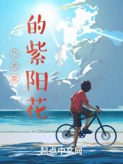 ��ľ���������