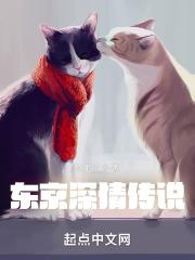 �������鴫˵