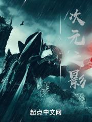 ȫְ��ʦ����Ԫ֮Ӱ