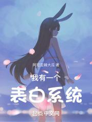 ����һ������ϵͳ