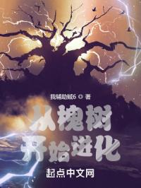 �ӻ�����ʼ����