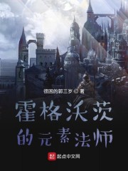 �����ִĵ�Ԫ�ط�ʦ