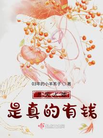 ̫�������������Ǯ