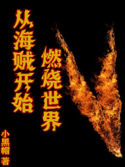 �Ӻ�����ʼȼ������