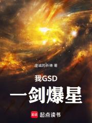 ��GSD��һ������