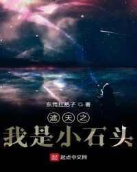 ����֮����Сʯͷ