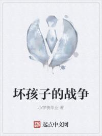 �����ӵ�ս��