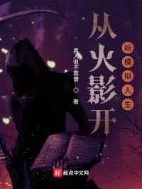 �ӻ�Ӱ��ʼģ������